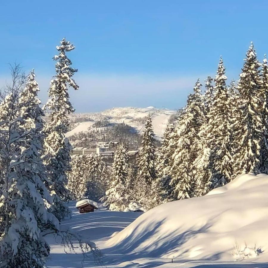 Leilighet Beitostolen Sentrum, Terrasse Og Innendors Parkering Екстер'єр фото